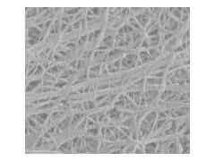 義騰新能源 常規微孔單層隔膜