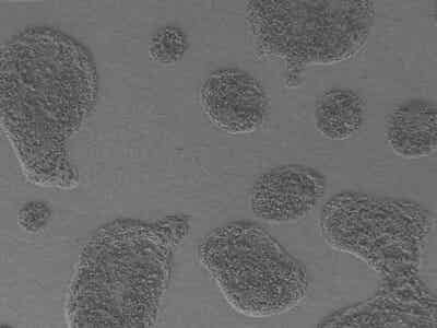 友恒實(shí)業(yè)噴涂電池隔膜