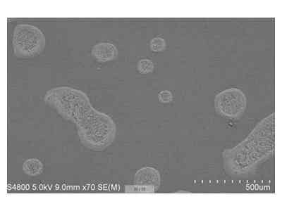 惠強新材 P系列PVDF涂覆膜