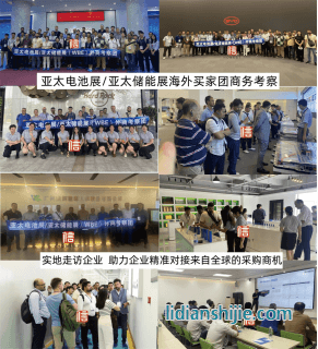 亞太儲能技術及應用展