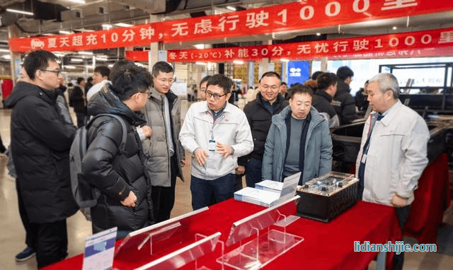 比亞迪二代磷酸鐵鋰刀片電池