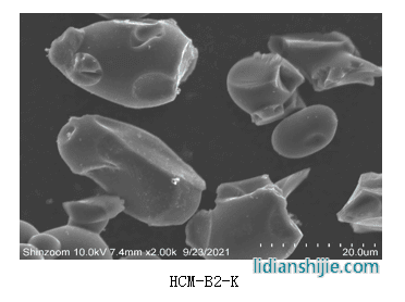 中科星城新型負極材料硬碳SEM